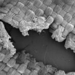 Airbag Gewebe geschmolzen REM Aufnahme