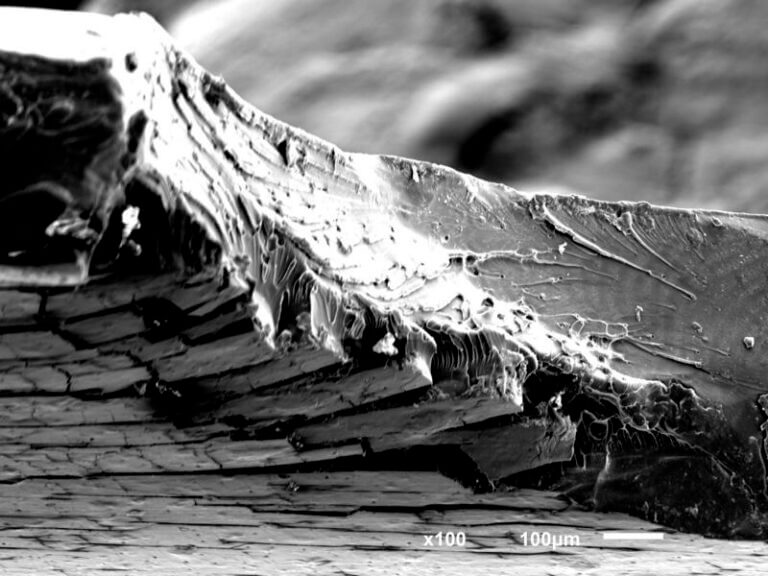 Bruch Kunststoff REM Aufnahme