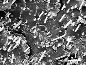 FÜLLSTOFFGEHALT IN KUNSTSTOFFEN REM-Aufnahme der Glasfasern in der Bruchfläche 