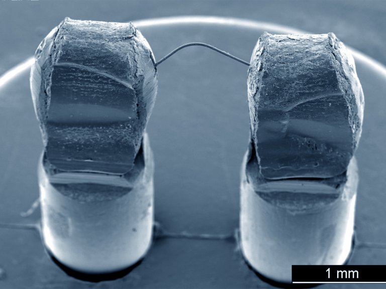 260416_7874tem_02_01-1